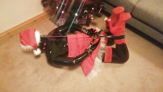 Louise Latex Naughty Santa Hogtied