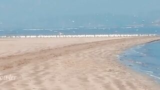 Tik Tok Topless Girl Walking on the Public Beach in Wet Sand