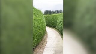 blonde is fucked in a maze