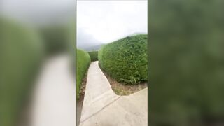 blonde is fucked in a maze