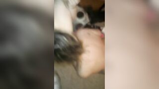 Slave bunny lick slave pups clit while taking bbc