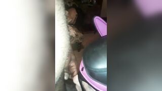 Slave bunny sucking and anal play