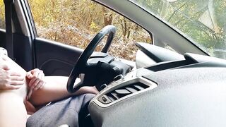 Public dick flash in car