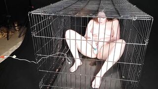 Dog cage squirting session