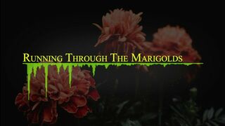 Running Through the Marigolds (Official Music Video).