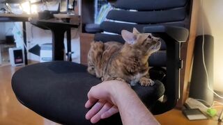 Playing Romantically with a Beloved Pussy .... Starting with careful foreplay.