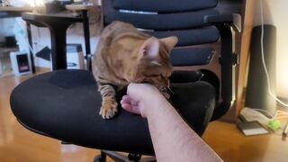 Playing Romantically with a Beloved Pussy .... Starting with careful foreplay.