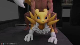 Renamon furry sex