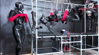 Heavy Rubber Hog Tied