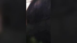 POV Thick Asian fucked doggystyle